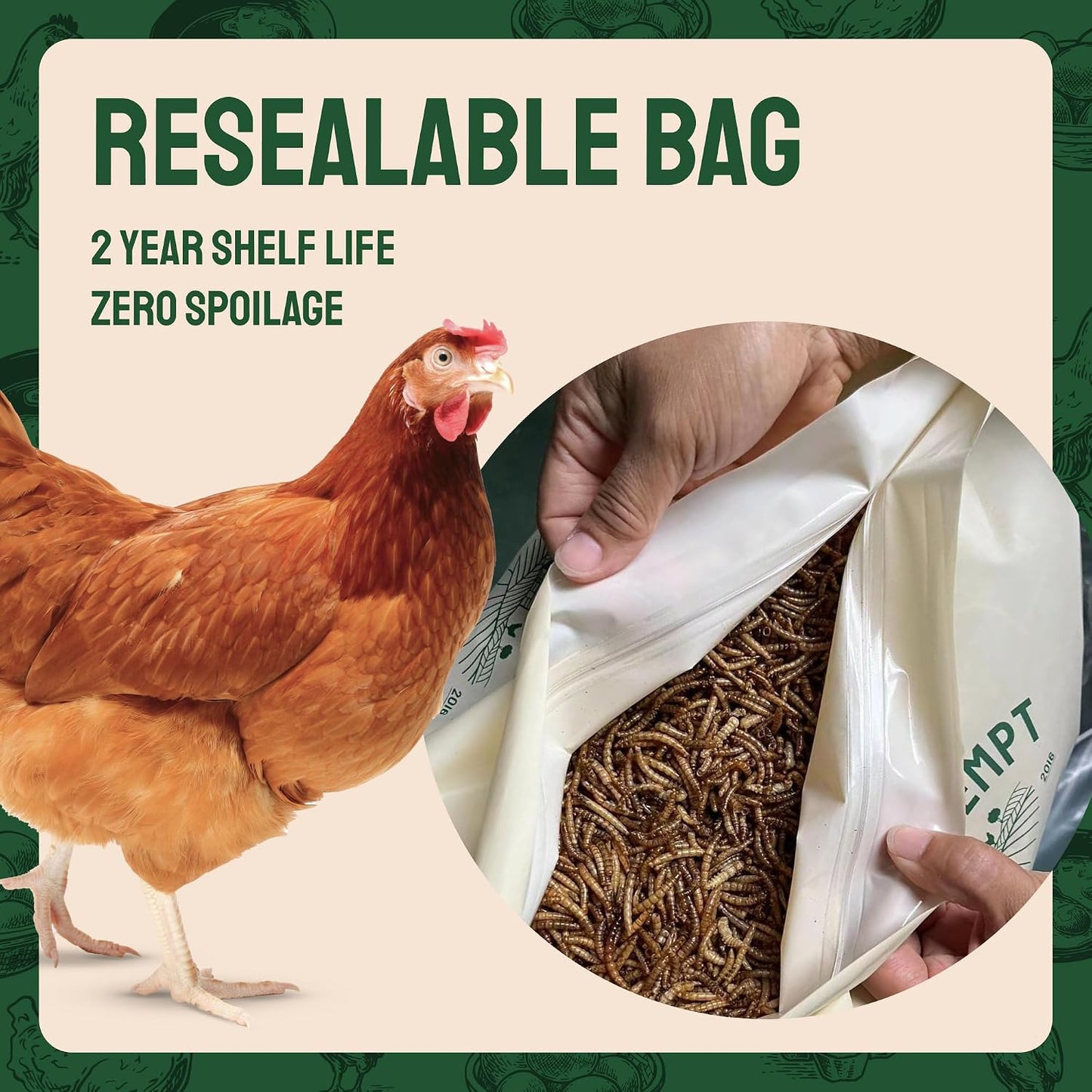 Dried Mealworms - Premium Organic Non-Gmo Dried Mealworms for Chickens - High Protein Chicken Feed Meal Worms for Wild Birds & Chicken Treats for Laying Hens