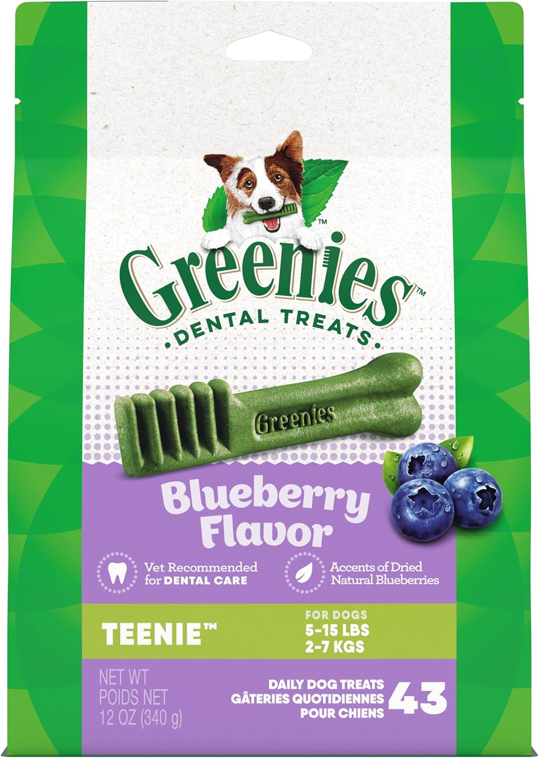 Gn Flavors Mint 12Oz Teenie 43Ct