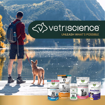 Vetriscience Ultimate Strength Healthy Hip & Joint Chews, Glycoflex Glucosamine, Chondroitin & Green-Lipped Mussel Joint Support Supplement for Dogs, Soothe Joint Discomfort, Duck, 60 Count