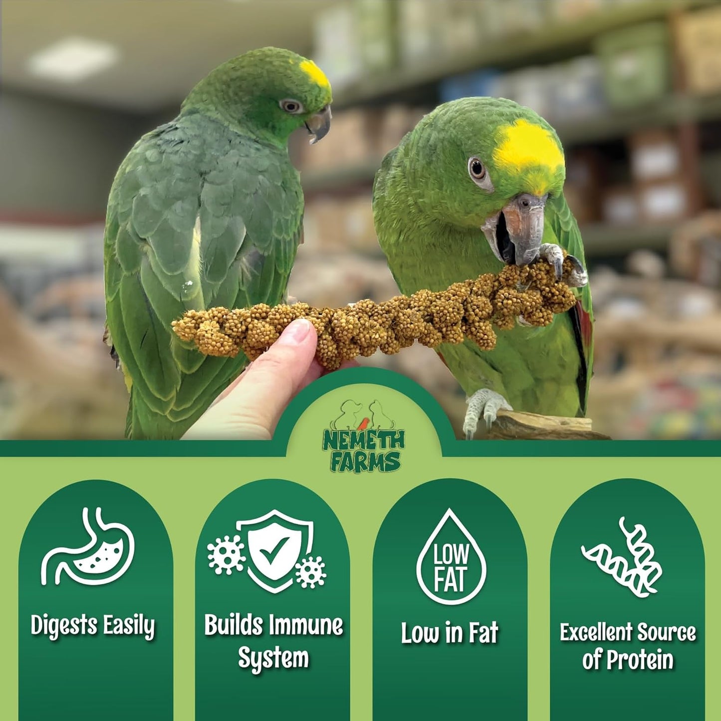 Worlds Freshest Sun-Dried Spray Millet - Non-Gmo (No Stems Only Edible Tops) - Healthy Bird Treat and Supplement for All Pet Birds Parakeets Cockatiels Finches - 1Lb