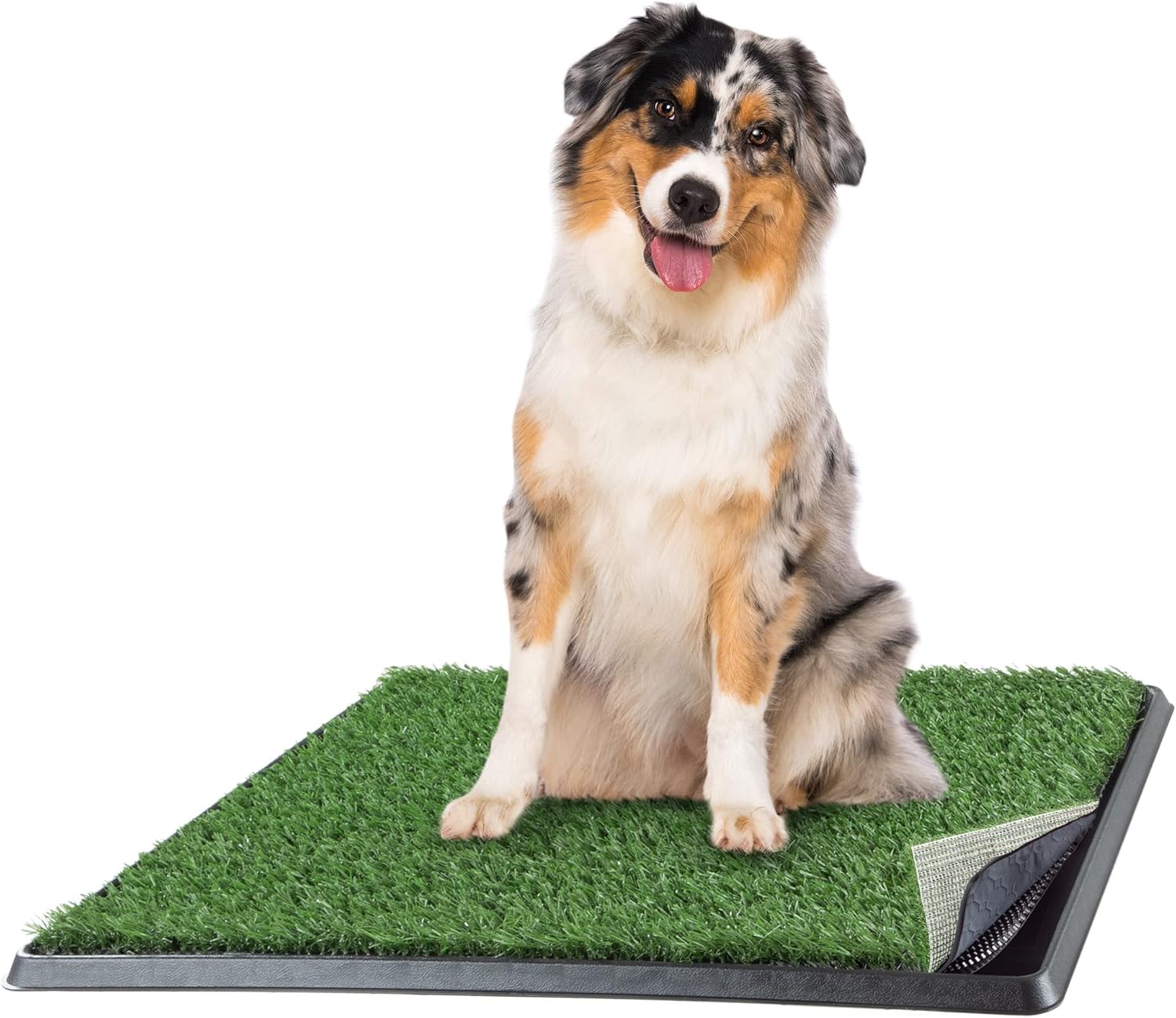 Artificial Grass Puppy Pee Pad for Dogs and Small Pets - Dog Housebreaking Supplies by PETMAKER