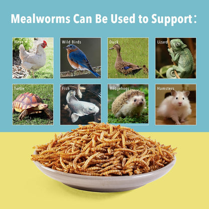 Dried Mealworms for Wild Birds Chickens Feed for Laying Hens,Ducks,Reptiles