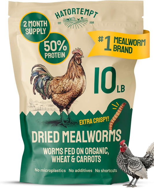 Vers de farine séchés - Vers de farine séchés biologiques de qualité supérieure sans OGM pour poulets - Vers de farine riches en protéines pour oiseaux sauvages et friandises pour poules pondeuses