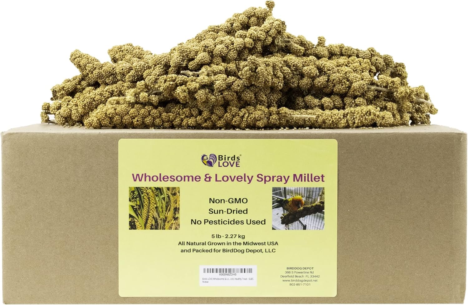 Birds LOVE Wholesome & Lovely Spray Millet Non-Gmo (No Stems Only Edible Tops) for Parrots Birds Cockatiel Lovebird Parakeets Finch Canary All Parrots Healthy Treat