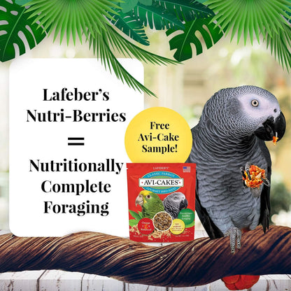 LAFEBER'S Nutri-Berries Pet Bird Food Variety Sampler Bundles, Made with Non-Gmo and Human-Grade Ingredients, for Parrots, with Free Avi-Cake Sample