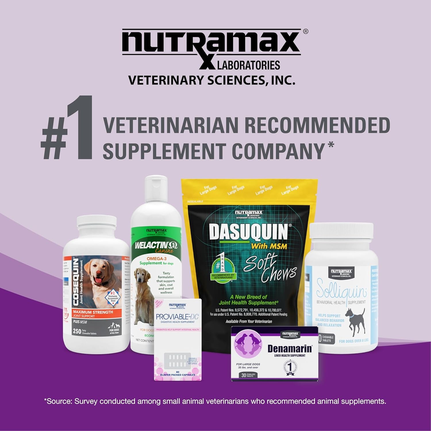 Nutramax Laboratories Dasuquin Joint Health Supplement for Cats - with Glucosamine, Chondroitin, ASU, Boswellia Serrata Extract, and Green Tea Extract