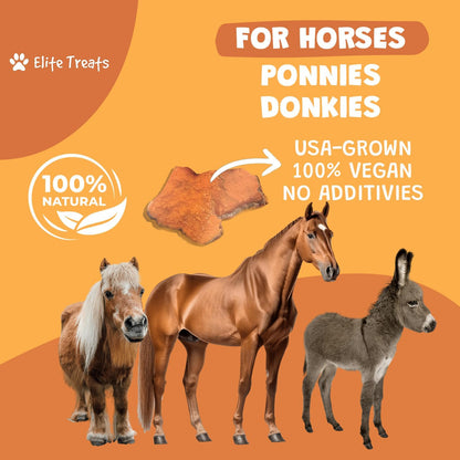 Horse Treats - Sweet Potato & Carrot, All Natural, Dehydrated Treat, Made in the USA for Horses, Ponies, Donkeys, Made with Real Sweet Potato Slices and Carrot Concentrate