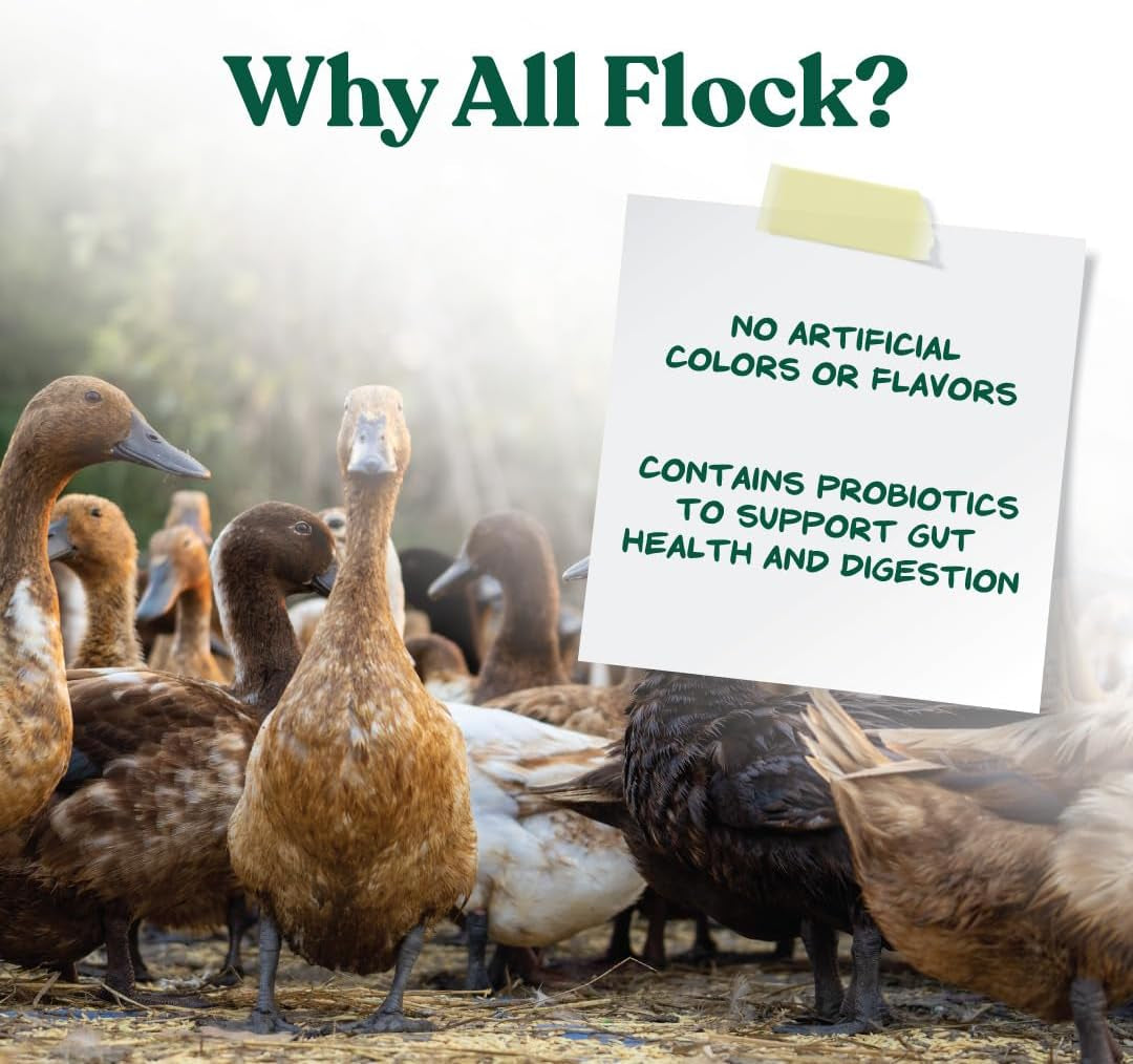 Manna Pro All Flock Crumbles, 16% Protein Level, Complete Feed for Chickens, Ducks, Geese, Turkeys and Gamebirds, Probiotics to Support Digestion, Crumbled Form for Easy Feeding