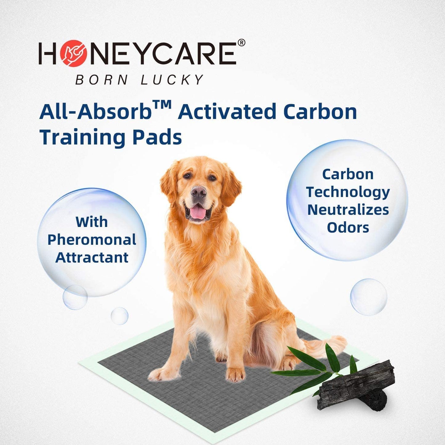 HONEY CARE All-Absorb Puppy Training Pads | Doggie Potty Pads Absorb Eliminating Urine Odor, Ultra Charcoal Dog Pee Pad