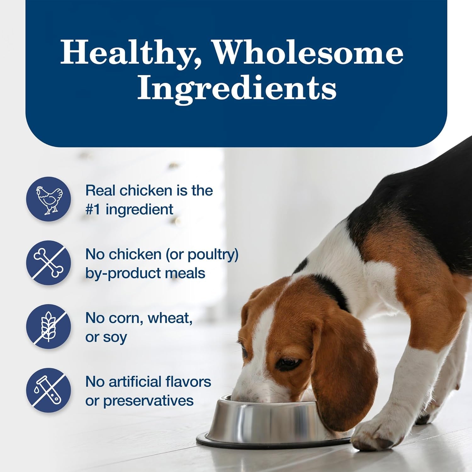 Blue Buffalo Homestyle Recipe Adult Wet Dog Food, Made with Natural Ingredients, Chicken Dinner with Garden Vegetables