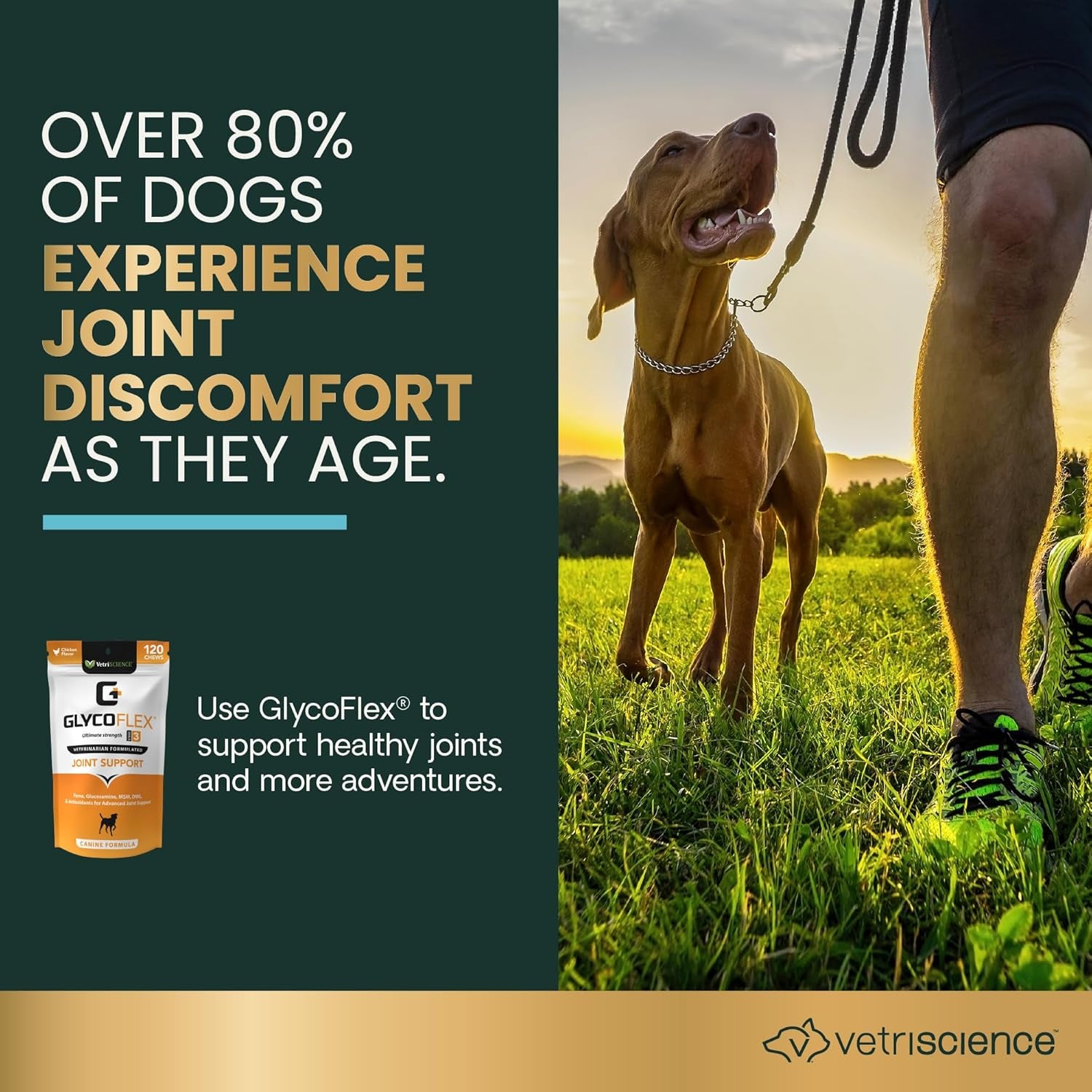 Vetriscience Glycoflex 3 Hip and Joint Supplement for Dogs - Maximum Strength Dog Supplement with Glucosamine, MSM, Green Lipped Mussel & DMG, Chicken Flavor