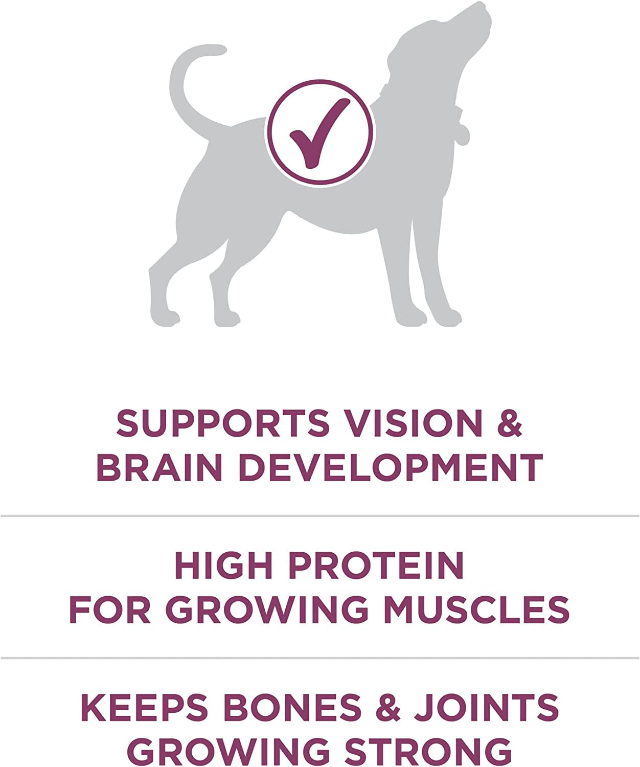 Purina ONE plus Healthy Puppy Formula High Protein Natural Dry Puppy Food with Added Vitamins, Minerals and Nutrients