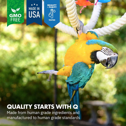 Healthygut™ Avian Probiotics Dietary Supplement for Parrots, All-Natural Digestive System Formula