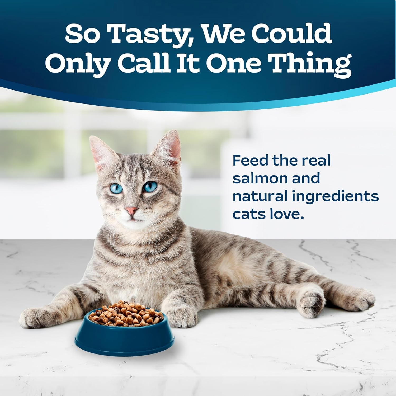 Blue Buffalo Tastefuls Natural Dry Food for Adult Indoor Cats, Salmon & Brown Rice Recipe