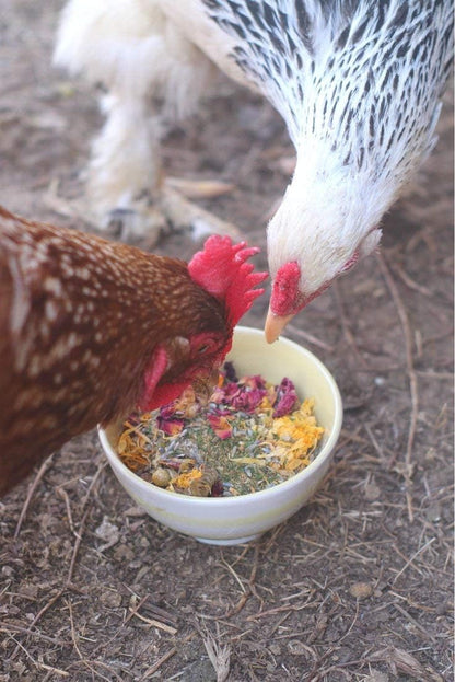 Pampered Chicken Mama Best Eggs Ever! Nesting Herbs for Chickens, Calcium Supplement for Chickens, Chicken Feed Supplies, Hen Treats for Coops