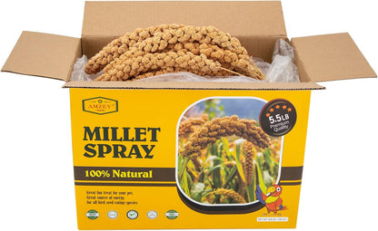 Amzey Spray Millet for Parakeets, 100% Natural Dried Millet Grain for Birds, Non-Gmo Millet Spray Bird Treat, Birds Millet, Cockatiel, Finches, Parrots & Lovebirds