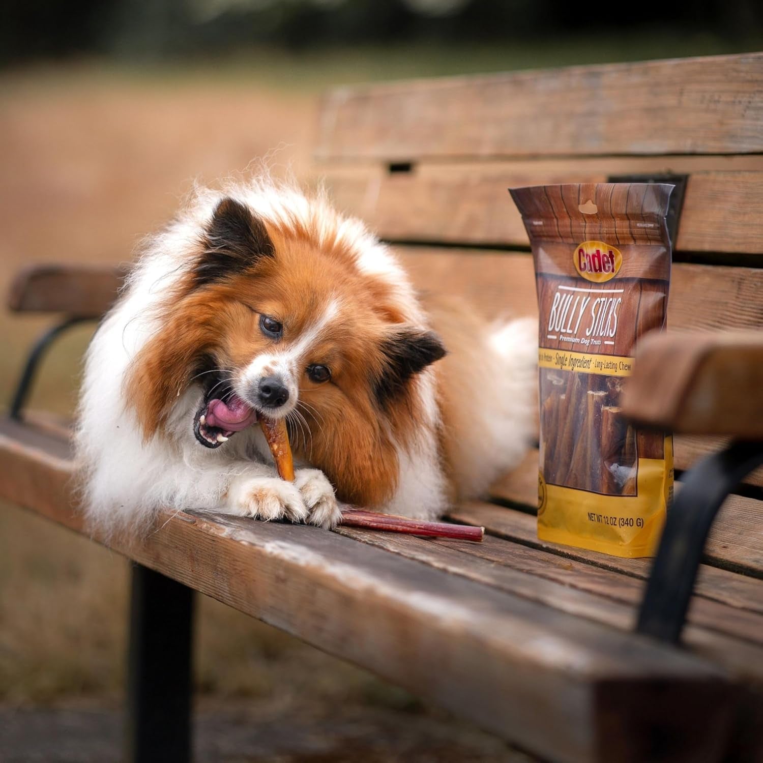 Cadet Bully Sticks for Small Dogs - All-Natural Beef Pizzle, High Protein, Low Fat, Long-Lasting, Grain & Rawhide-Free Dog Chews for Aggressive Chewers