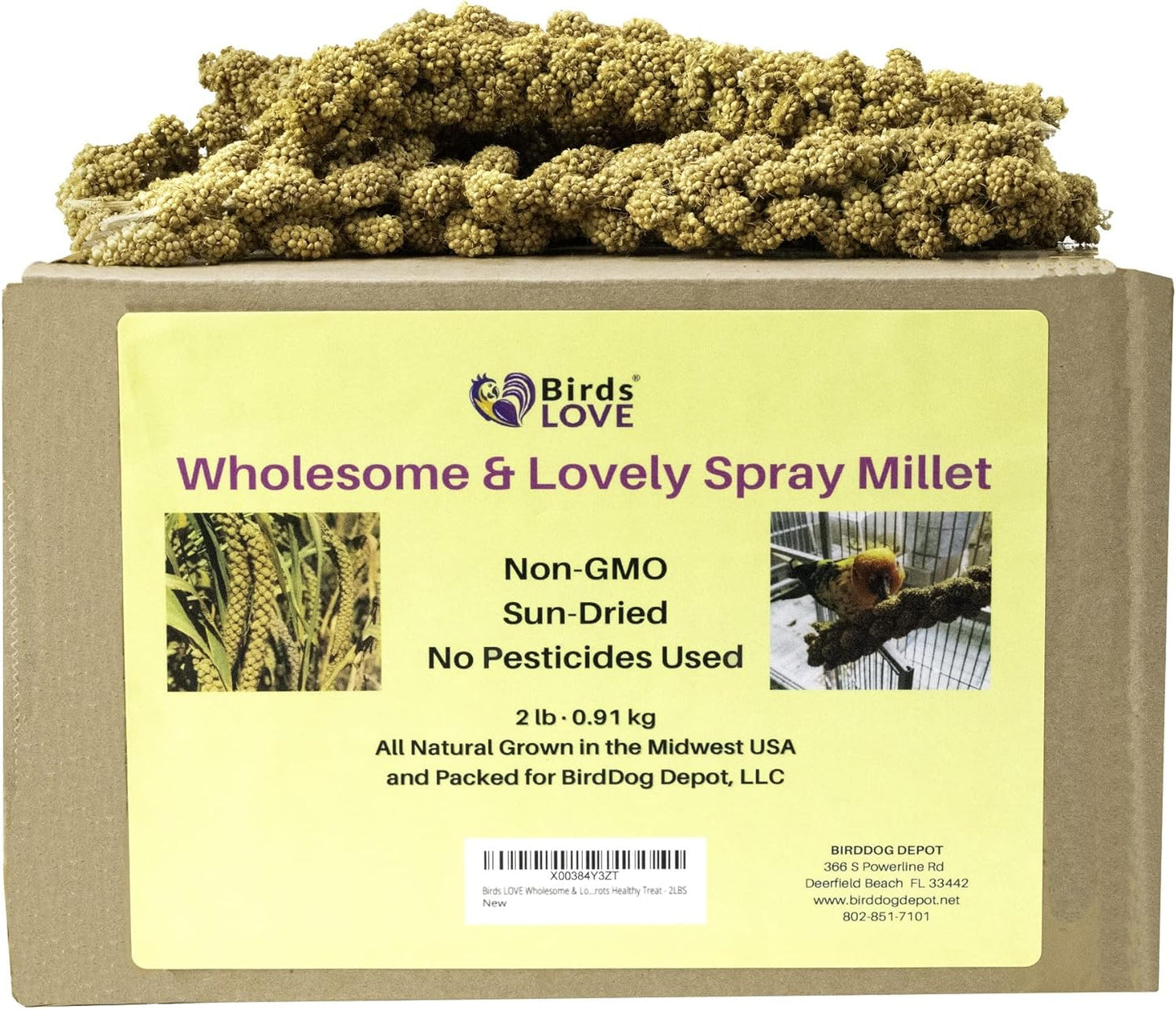 Birds LOVE Wholesome & Lovely Spray Millet Non-Gmo for Birds Cockatiel Lovebird Parakeet Finch Canary All Parrots Healthy Treat