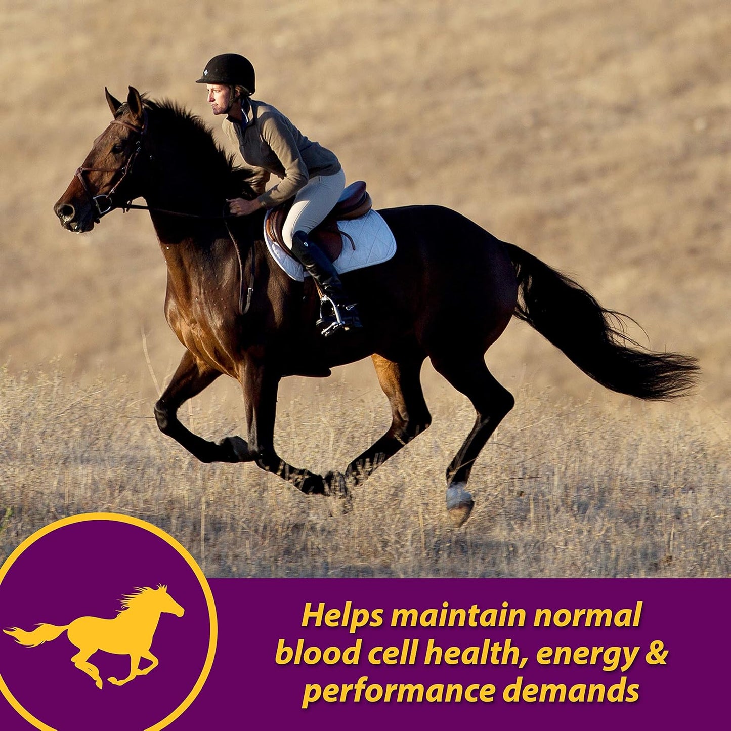 Farnam Horse Health Red Cell, Liquid Vitamin-Iron-Mineral Supplement for Horses, Helps Fill Important Nutritional Gaps in Horse'S Diet