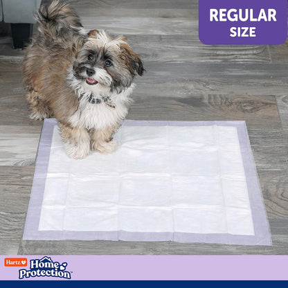 Hartz Home Protection Lavender Scented Dog Pads, Super Absorbent & Won'T Leak, Odor Eliminating