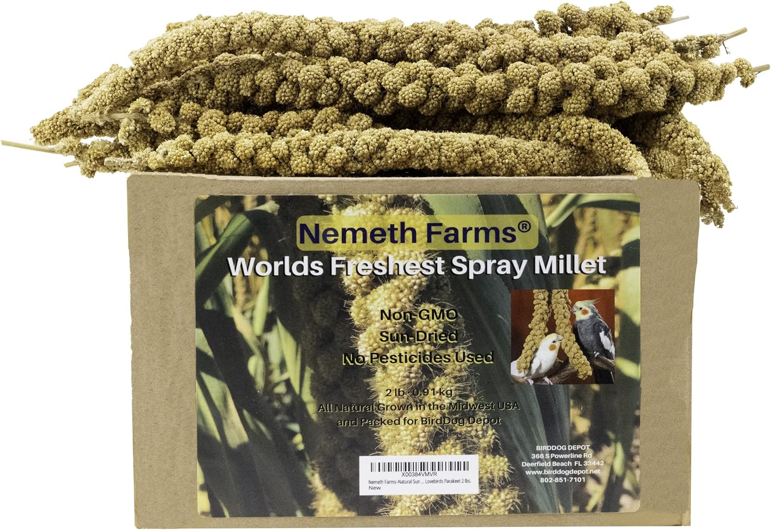 Worlds Freshest Sun-Dried Spray Millet - Non-Gmo (No Stems Only Edible Tops) - Healthy Bird Treat and Supplement for All Pet Birds Parakeets Cockatiels Finches - 1Lb