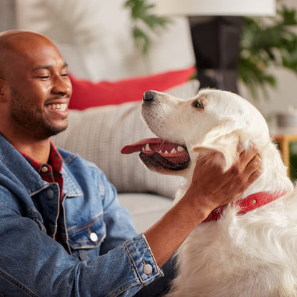 Milk-Bone Original Dog Treats Biscuits for Medium Dogs, 10 Pound