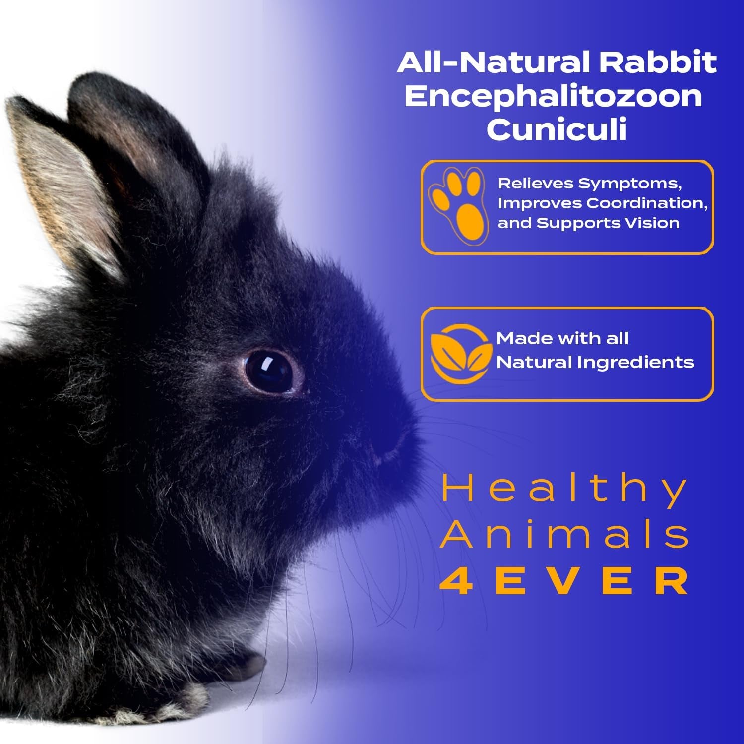 Healthy Animals 4Ever All-Natural Rabbit E. Cuniculi Infection Treatment, Homeopathic Support for E. Cuniculi, Preventive Health Solution, Rabbit Immunity Boosting Tablets, 300 Count