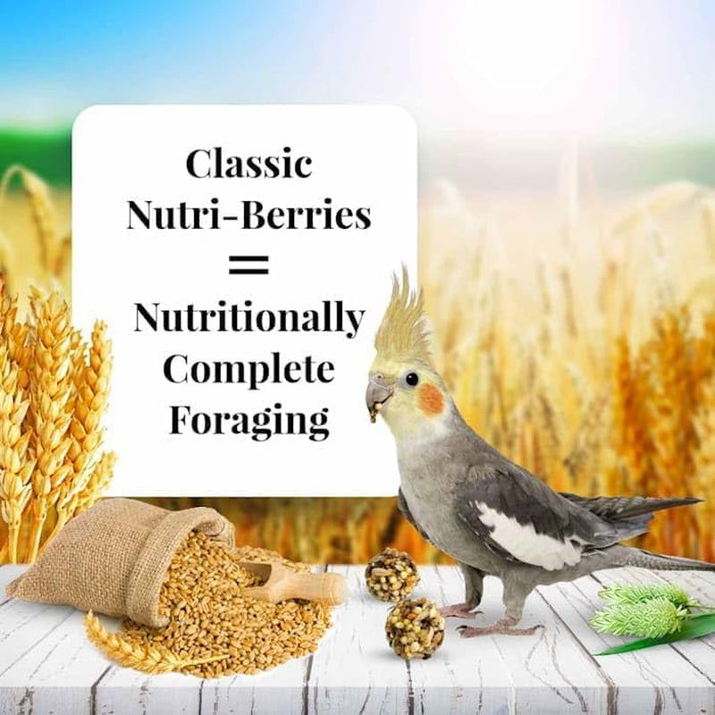 LAFEBER'S Classic Nutri-Berries Pet Bird Food, Made with Non-Gmo and Human-Grade Ingredients, for Cockatiels