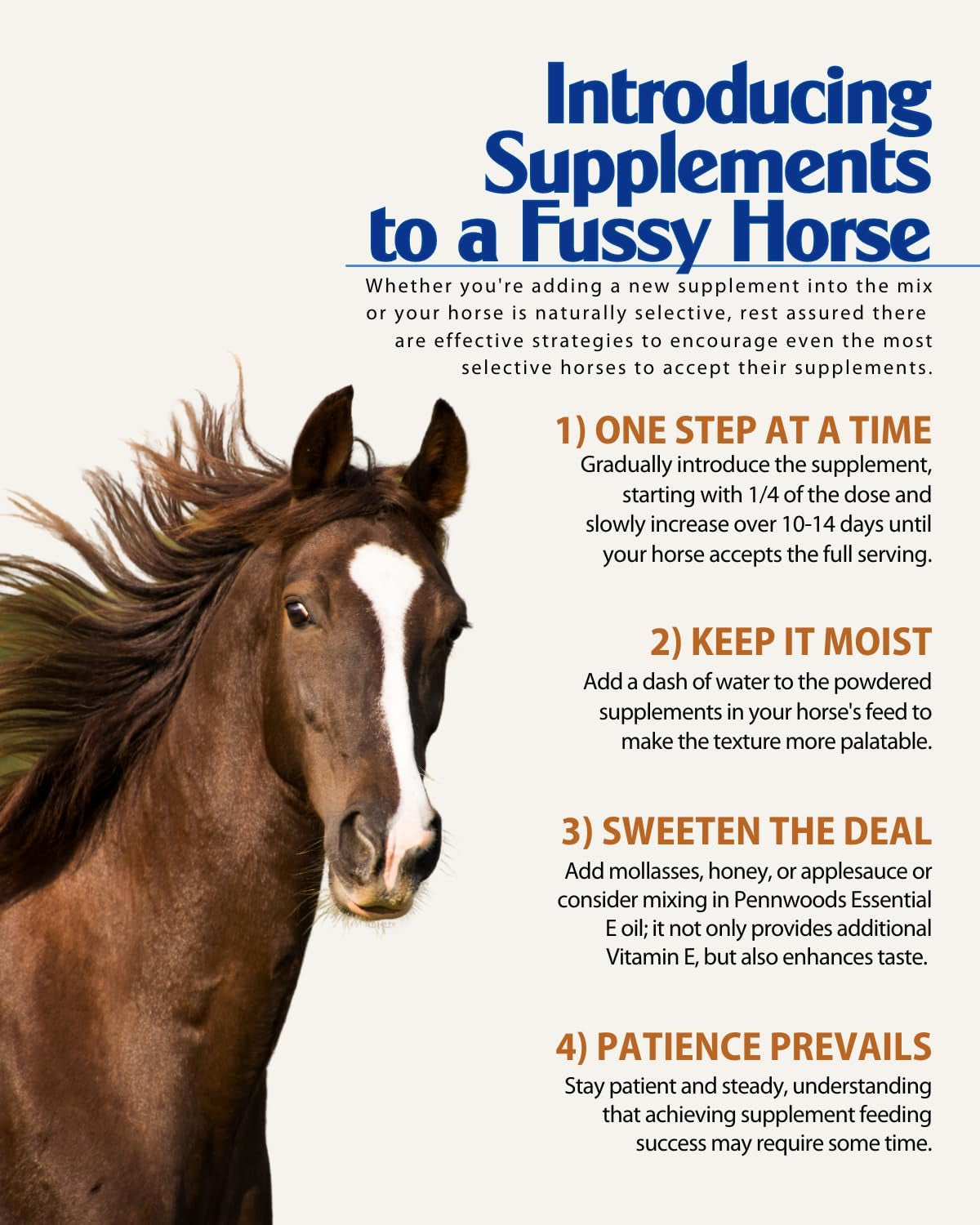 GI Renew, Probiotics for Equine, Immune and Appetite Stimulation, Prebiotics, Digestive Enzymes, Horse Supplement Providing Ulcer Relief and Organic Toxin Binder