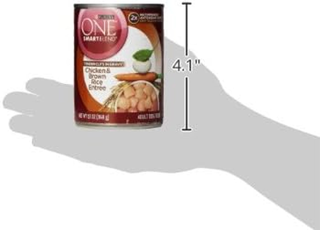 Purina ONE Tender Cuts in Wet Dog Food Gravy Chicken and Brown Rice Entree - (Pack of 12) 13 Oz. Cans