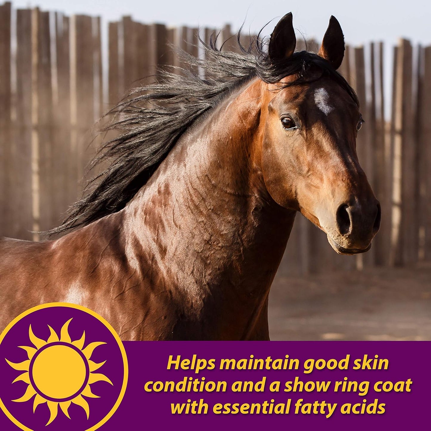 Farnam Horse Health Joint Combo Hoof & Coat, Convenient 3-In-1 Horse Joint Supplement Provides Complete Joint, Hoof and Coat Care