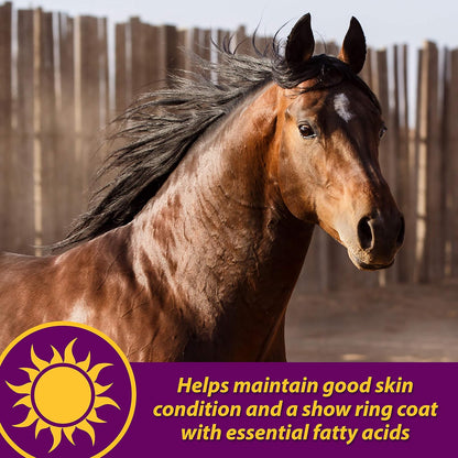 Farnam Horse Health Joint Combo Hoof & Coat, Convenient 3-In-1 Horse Joint Supplement Provides Complete Joint, Hoof and Coat Care