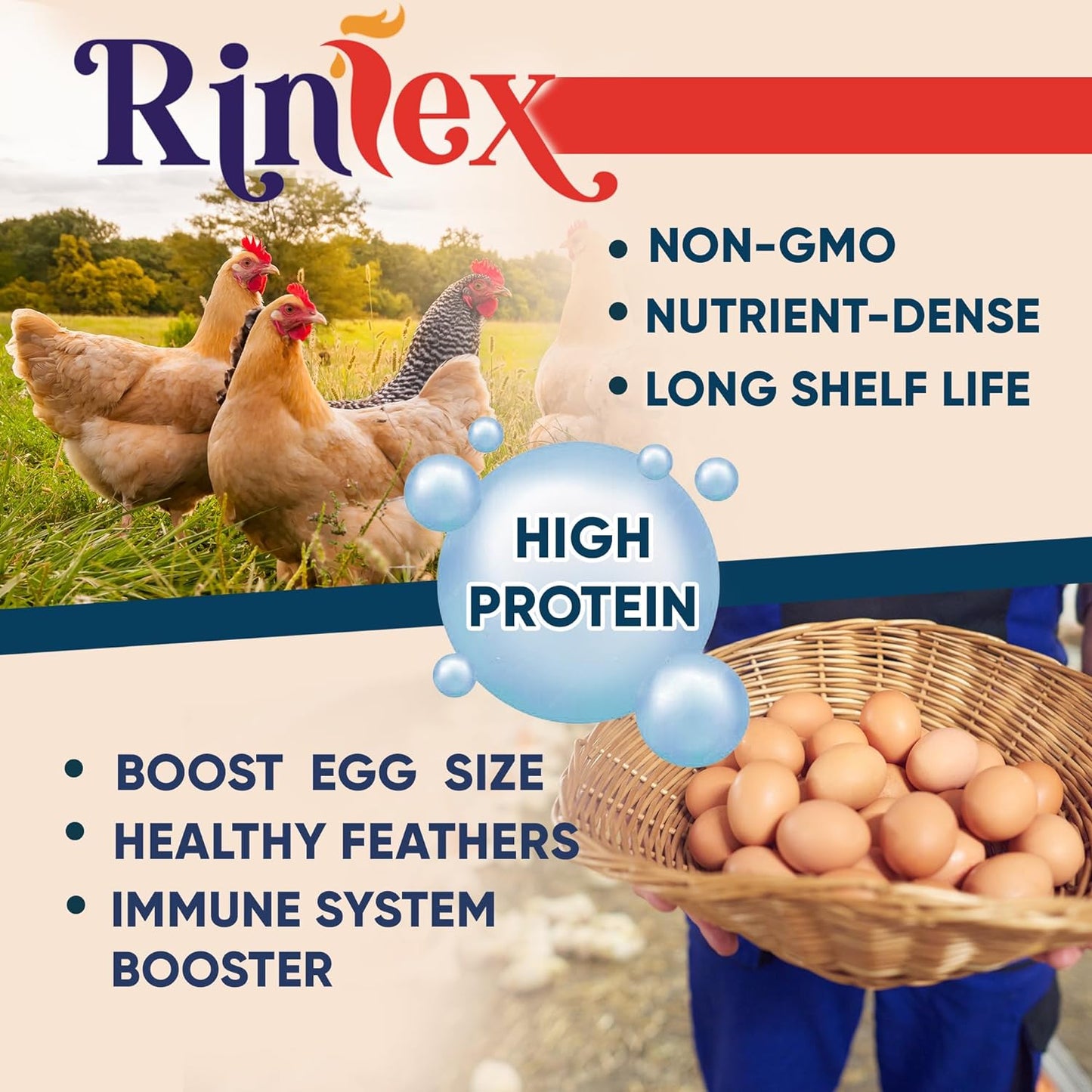 Dried Mealworms - Premium Chicken Treats, High Protein Mealworms for Chickens, Ducks, Laying Hens - Improves Egg Quality, Boosts Immune System & Feathers