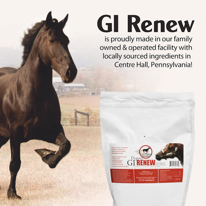 GI Renew, Probiotics for Equine, Immune and Appetite Stimulation, Prebiotics, Digestive Enzymes, Horse Supplement Providing Ulcer Relief and Organic Toxin Binder