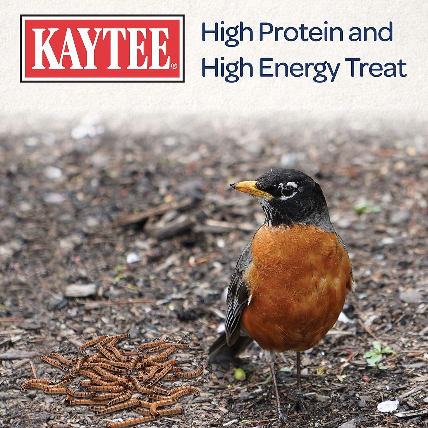 Kaytee Wild Bird Food Mealworms for Bluebirds, Wrens, Robins, Chickadees, Woodpeckers, Cardinals & Chickens