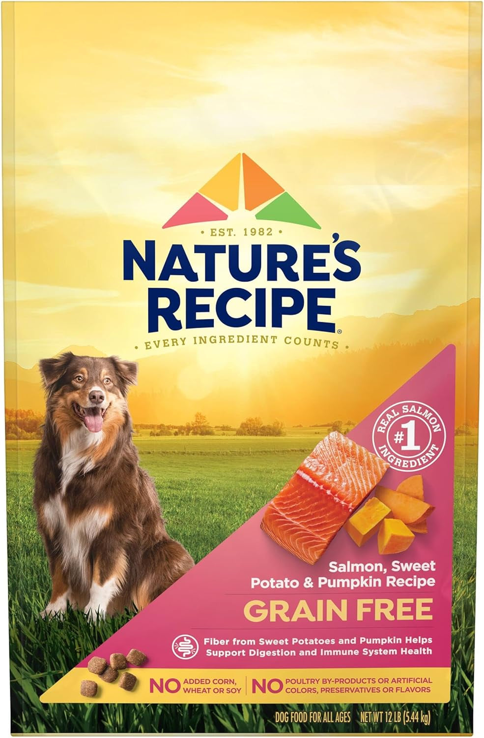 Nature’S Recipe Grain Free Salmon, Sweet Potato & Pumpkin Recipe Dry Dog Food