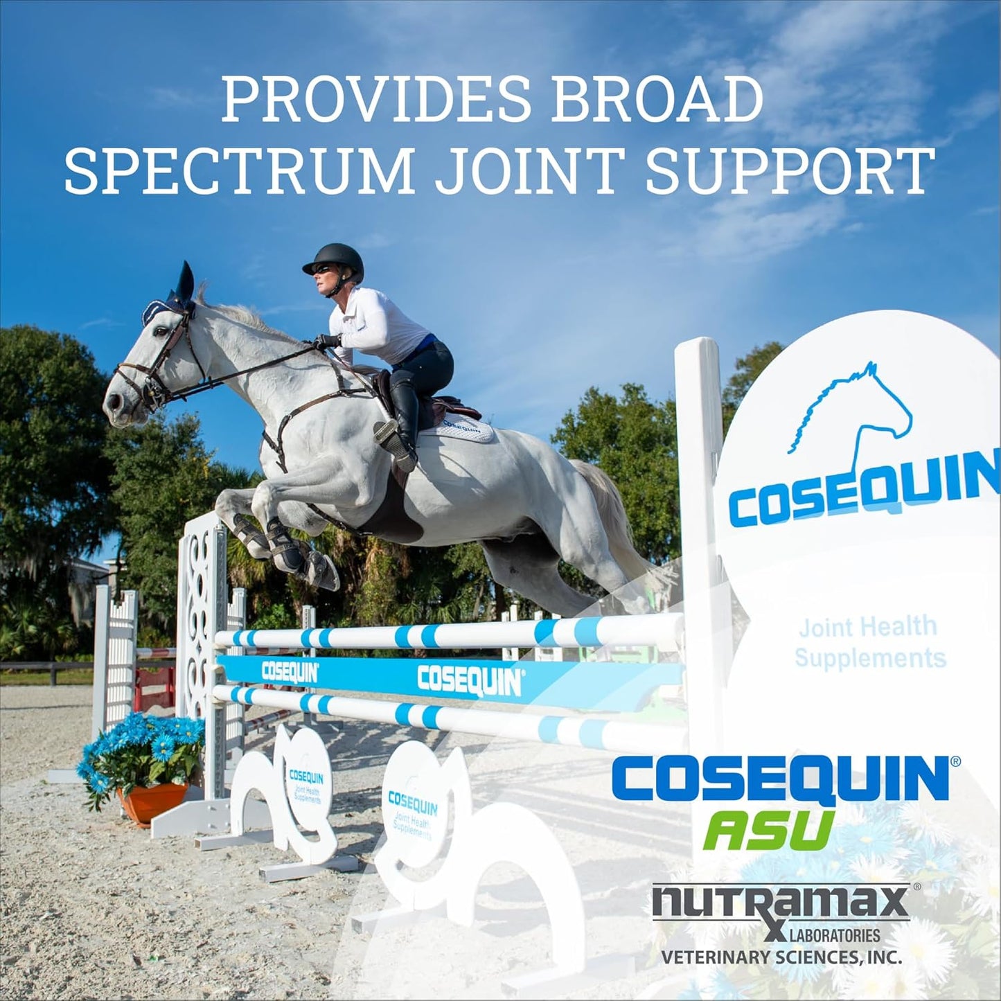 Nutramax Cosequin ASU Joint Health Supplement for Horses - Powder with Glucosamine, Chondroitin, ASU, and MSM