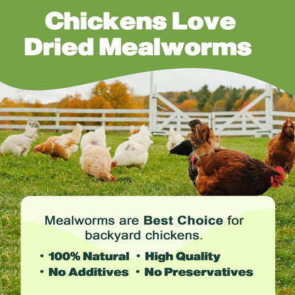 Dried Mealworms 100% Natural Non GMO High Protein Mealworms - Bulk Mealworms for Wild Birds, Chicken Treats, Hamster Food, Gecko Food, Turtle Food, Lizard Food