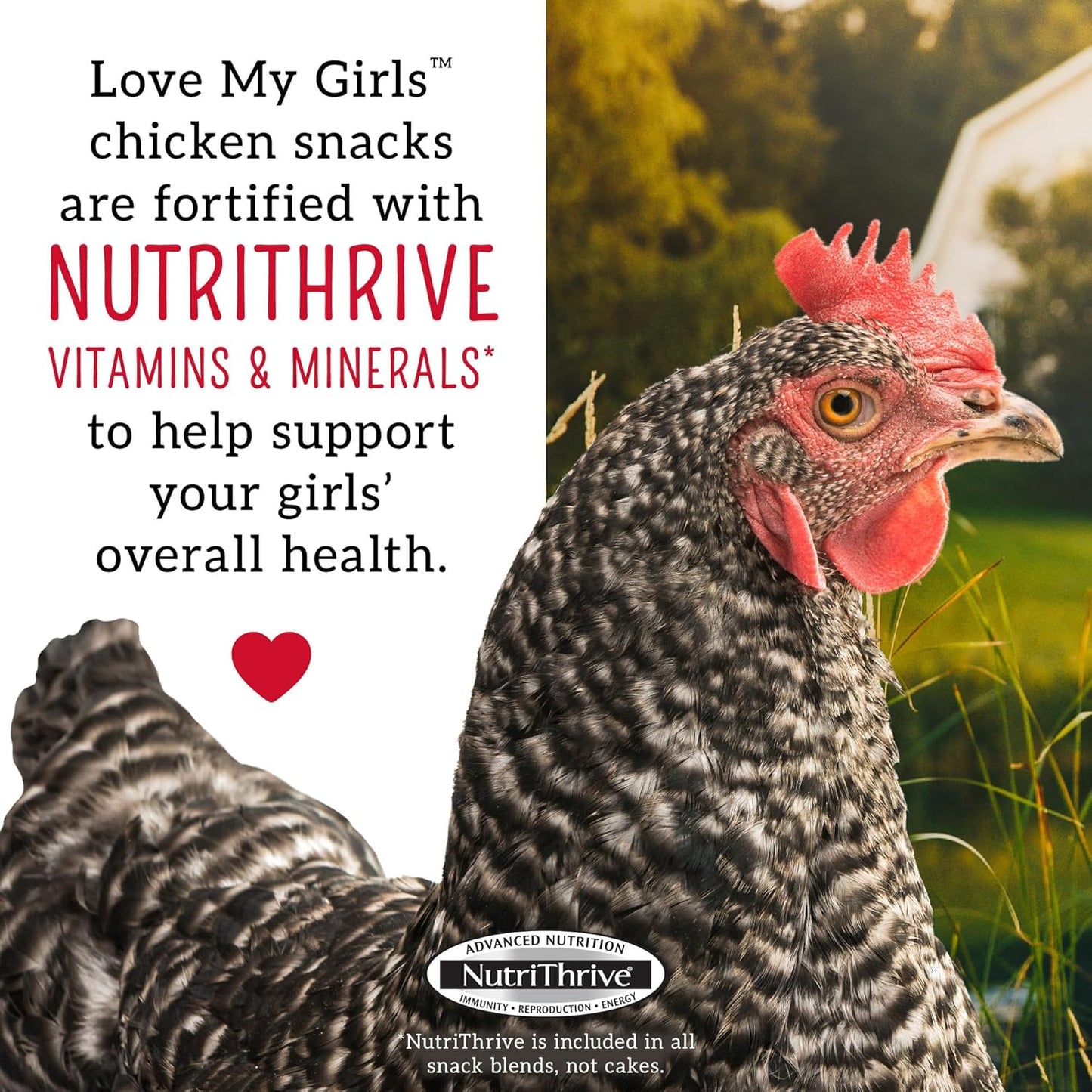 Love My Girls 5-Grain and Worms Chicken Treats, Corn-Free Treats for Chickens with Protein Rich Mealworms