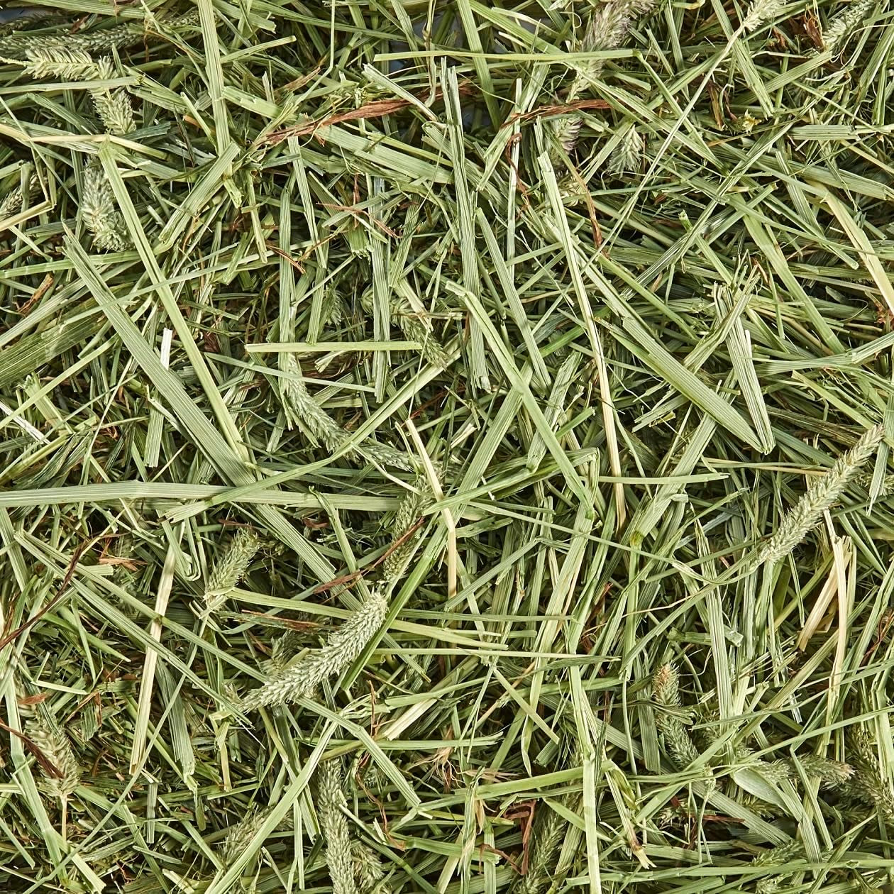 All Natural Timothy Hay for Guinea Pigs, Rabbits & Other Small Animals, 12 Pound