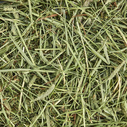 All Natural Timothy Hay for Guinea Pigs, Rabbits & Other Small Animals, 12 Pound