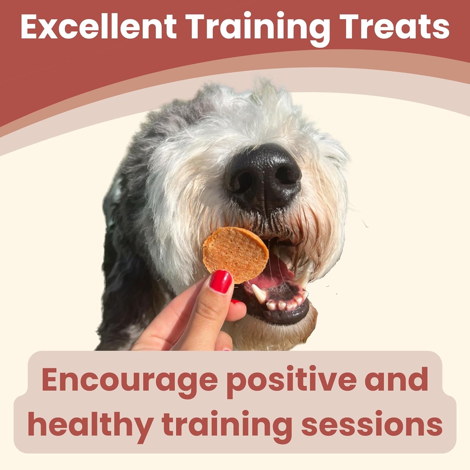 Dog Training Treats - Chicken Chips, Single Ingredient, Lean, All Natural, Healthy Dog Treats for Small, Medium, Large Dog Breeds, & Puppies, Made in USA