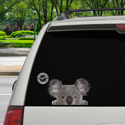 Can You See Me Now – Koala-Aufkleber für Auto/Tür/Kühlschrank/Laptop – pflanzt einen Baum