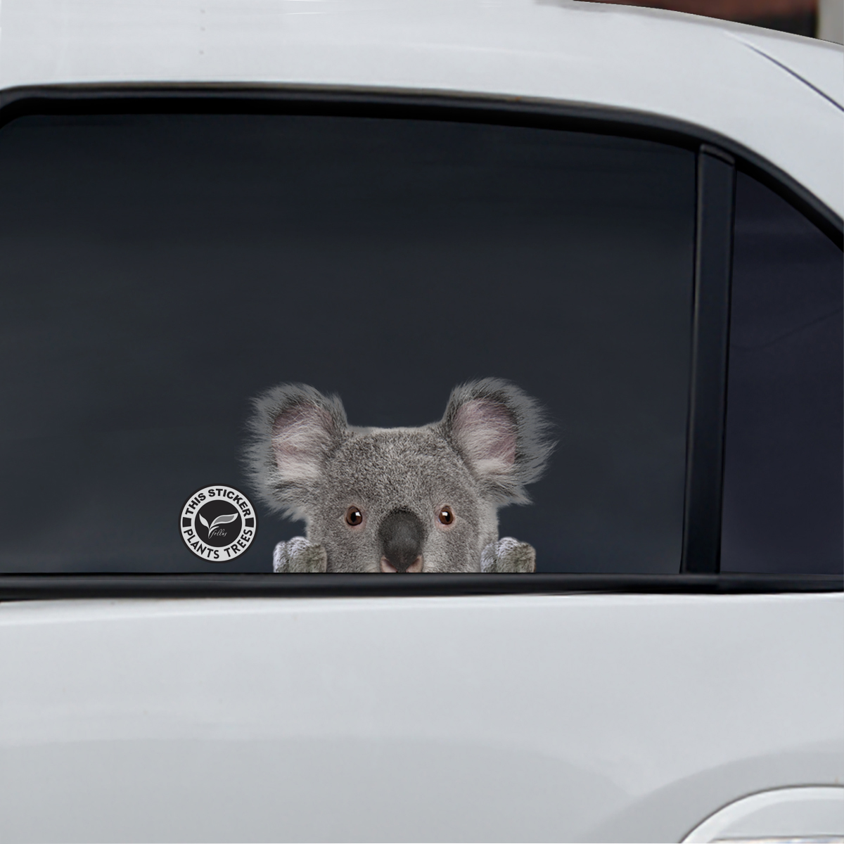 Pouvez-vous me voir maintenant - Autocollant Koala pour voiture/porte/réfrigérateur/ordinateur portable - Plants One Tree