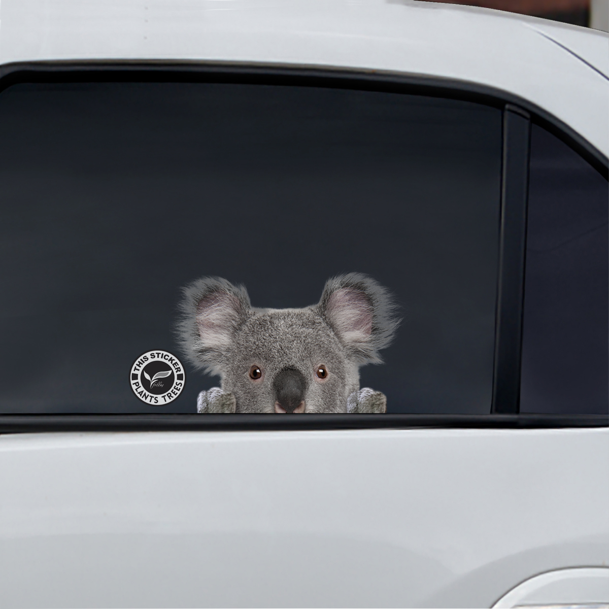 Can You See Me Now - Koala Car/ Door/ Fridge/ Laptop Sticker - Plants One Tree