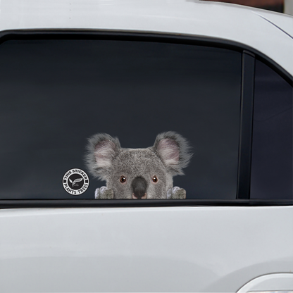 Pouvez-vous me voir maintenant - Autocollant Koala pour voiture/porte/réfrigérateur/ordinateur portable - Plants One Tree