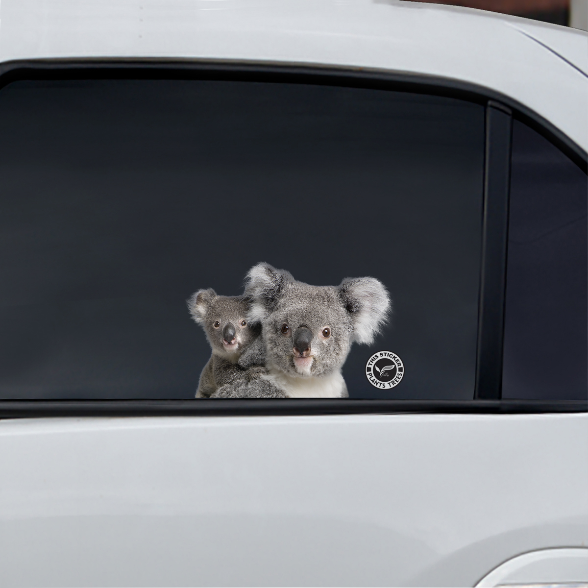 Can You See Me Now – Koala Auto/Tür/Kühlschrank/Laptop Aufkleber V2 – Pflanzen einen Baum