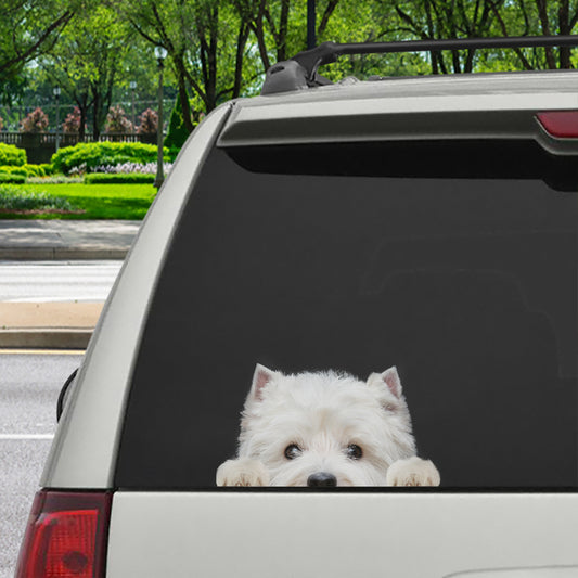Can You See Me Now – West Highland White Terrier Auto-/Tür-/Kühlschrank-/Laptop-Aufkleber V1