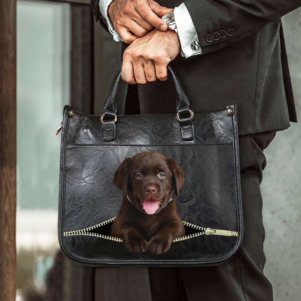 Labrador PetPeek Handbag V2