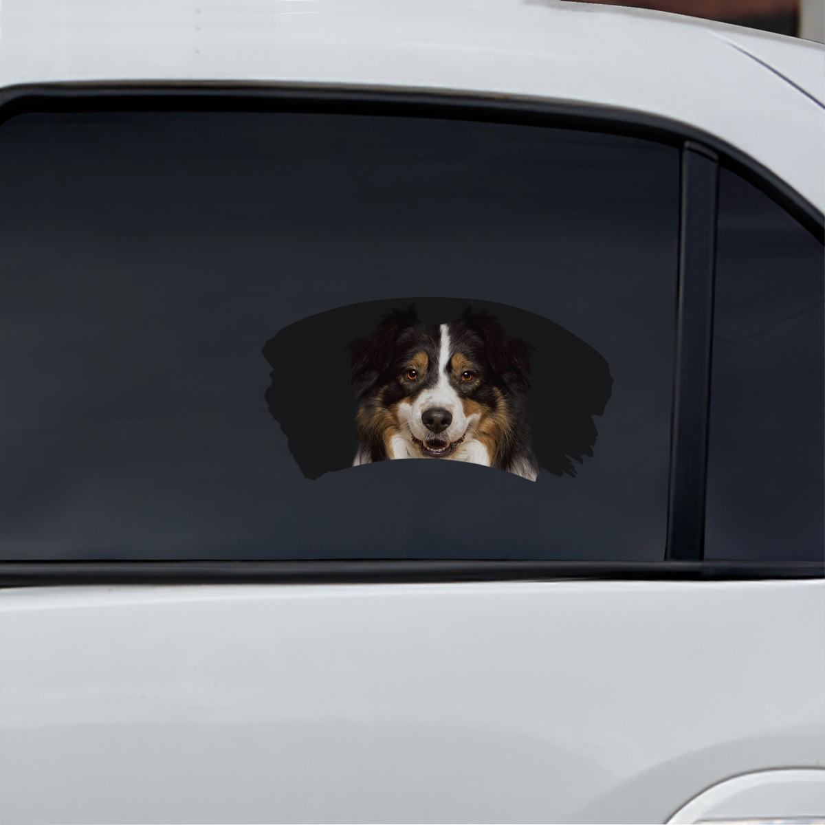 Misty Morning – Auto-Fensteraufkleber „Australischer Schäferhund“ V1